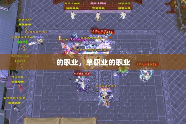 的职业，单职业的职业
