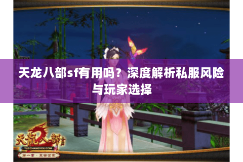 天龙八部sf有用吗？深度解析私服风险与玩家选择