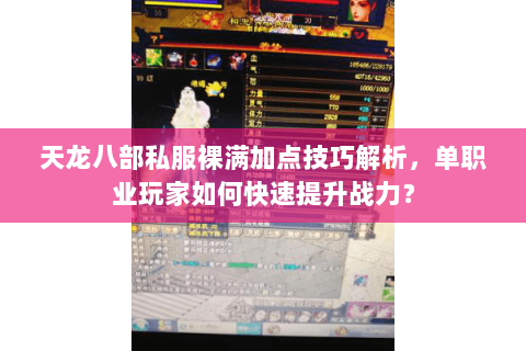 天龙八部私服裸满加点技巧解析，单职业玩家如何快速提升战力？
