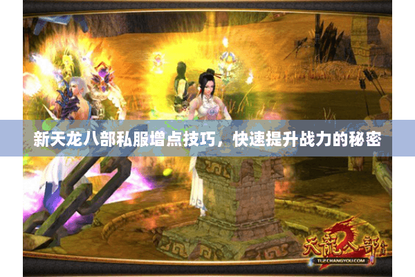 新天龙八部私服增点技巧，快速提升战力的秘密