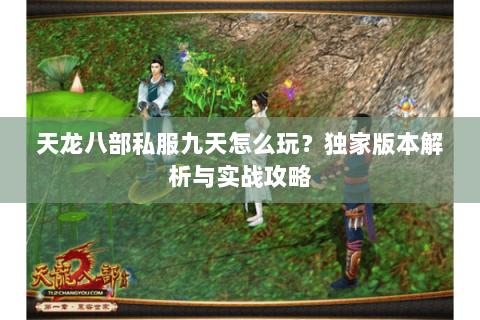 天龙八部私服九天怎么玩？独家版本解析与实战攻略