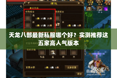 天龙八部最新私服哪个好？实测推荐这五家高人气版本