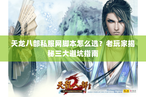 天龙八部私服网脚本怎么选？老玩家揭秘三大避坑指南
