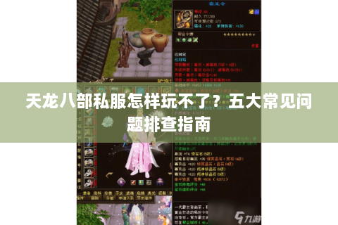 天龙八部私服怎样玩不了？五大常见问题排查指南