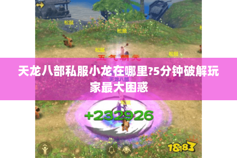 天龙八部私服小龙在哪里？5分钟破解玩家最大困惑