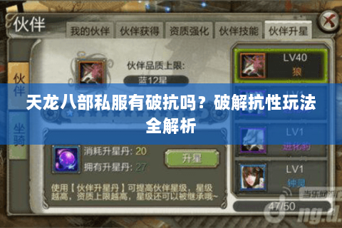 天龙八部私服有破抗吗？破解抗性玩法全解析