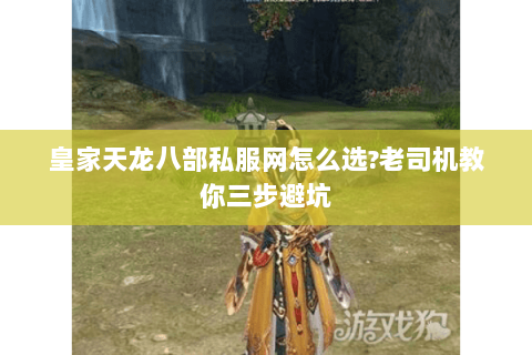 皇家天龙八部私服网怎么选?老司机教你三步避坑