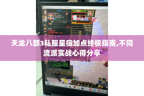 天龙八部3私服星宿加点终极指南，不同流派实战心得分享