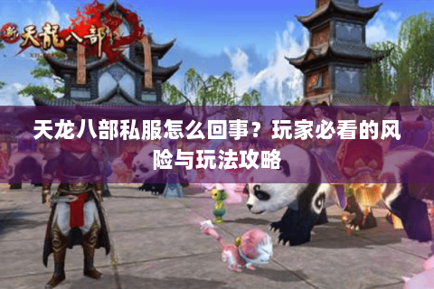 天龙八部私服怎么回事？玩家必看的风险与玩法攻略