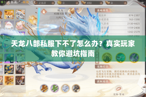 天龙八部私服下不了怎么办？真实玩家教你避坑指南