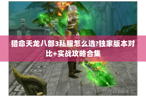 猎命天龙八部3私服怎么选?独家版本对比+实战攻略合集