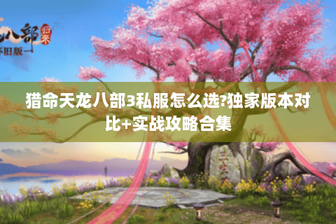 猎命天龙八部3私服怎么选?独家版本对比+实战攻略合集