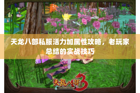 天龙八部私服活力加属性攻略，老玩家总结的实战技巧