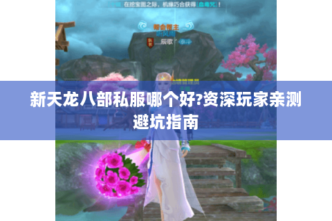 新天龙八部私服哪个好?资深玩家亲测避坑指南