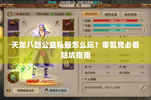 天龙八部公益私服怎么玩？零氪党必看防坑指南