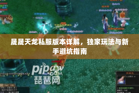 晟晟天龙私服版本详解，独家玩法与新手避坑指南