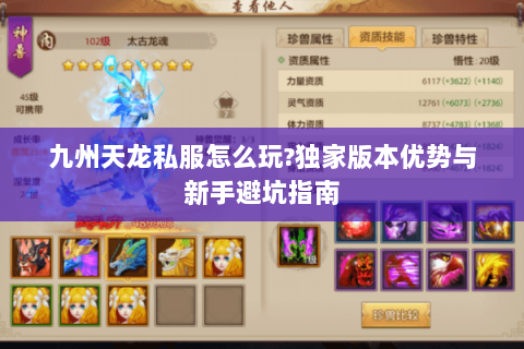 九州天龙私服怎么玩?独家版本优势与新手避坑指南