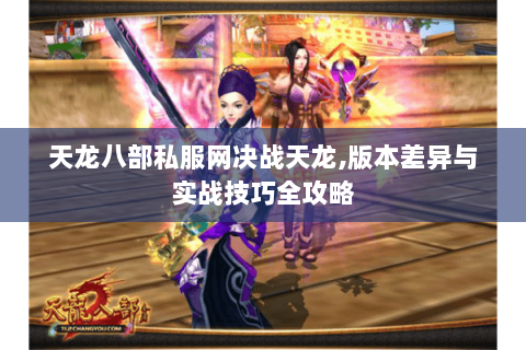 天龙八部私服网决战天龙,版本差异与实战技巧全攻略