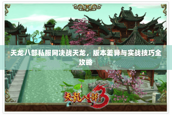 天龙八部私服网决战天龙，版本差异与实战技巧全攻略