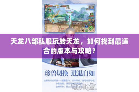 天龙八部私服玩转天龙，如何找到最适合的版本与攻略？