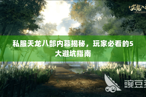 私服天龙八部内幕揭秘，玩家必看的5大避坑指南