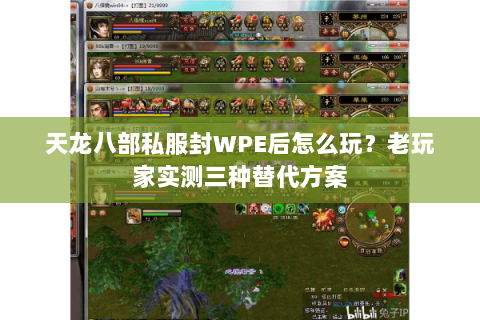 天龙八部私服封WPE后怎么玩？老玩家实测三种替代方案