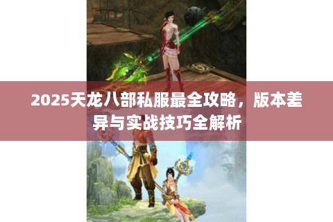 2025天龙八部私服最全攻略，版本差异与实战技巧全解析