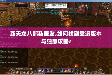 新天龙八部私服贴,如何找到靠谱版本与独家攻略?