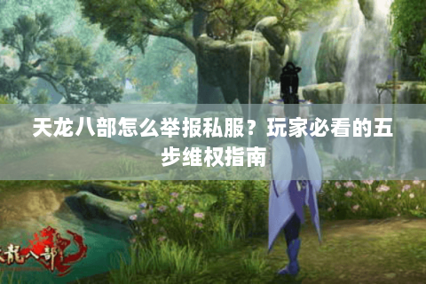 天龙八部怎么举报私服？玩家必看的五步维权指南