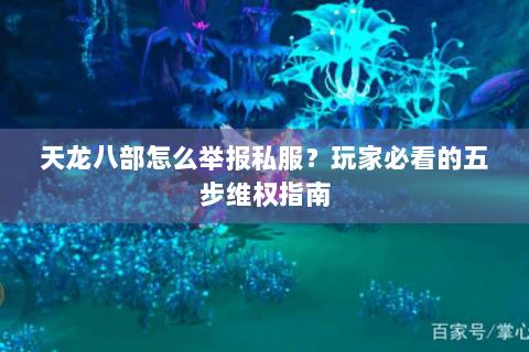 天龙八部怎么举报私服？玩家必看的五步维权指南