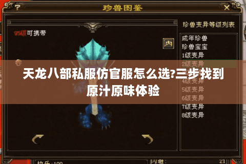天龙八部私服仿官服怎么选?三步找到原汁原味体验