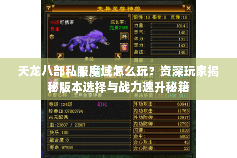 天龙八部私服魔域怎么玩？资深玩家揭秘版本选择与战力速升秘籍