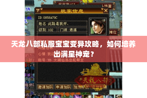 天龙八部私服宝宝变异攻略，如何培养出满星神宠？