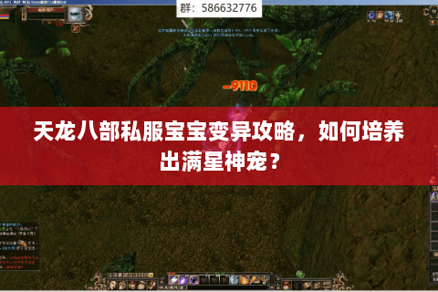 天龙八部私服宝宝变异攻略，如何培养出满星神宠？