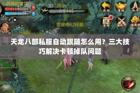 天龙八部私服自动跟随怎么用？三大技巧解决卡顿掉队问题