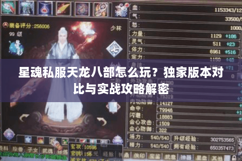 星魂私服天龙八部怎么玩？独家版本对比与实战攻略解密