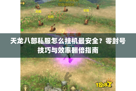天龙八部私服怎么挂机最安全？零封号技巧与效率翻倍指南