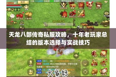 天龙八部传奇私服攻略，十年老玩家总结的版本选择与实战技巧