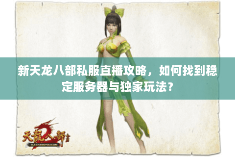 新天龙八部私服直播攻略，如何找到稳定服务器与独家玩法？