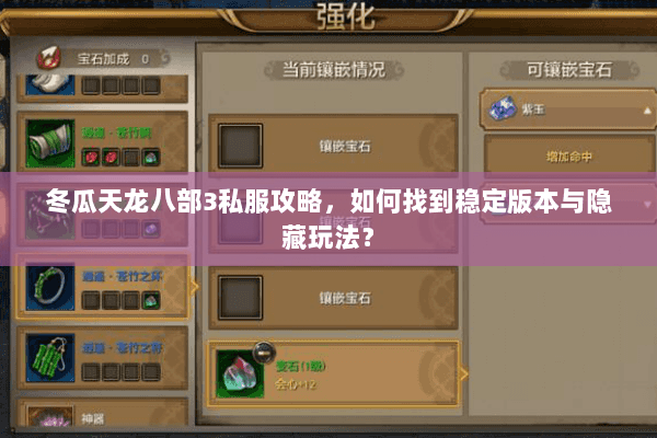 冬瓜天龙八部3私服攻略，如何找到稳定版本与隐藏玩法？