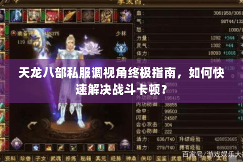 天龙八部私服调视角终极指南，如何快速解决战斗卡顿？