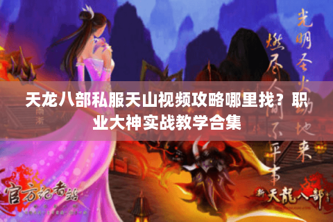 天龙八部私服天山视频攻略哪里找？职业大神实战教学合集