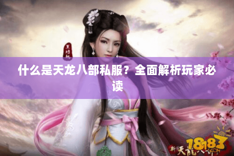 什么是天龙八部私服？全面解析玩家必读