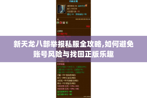 新天龙八部举报私服全攻略,如何避免账号风险与找回正版乐趣