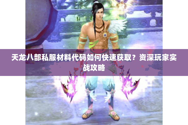 天龙八部私服材料代码如何快速获取？资深玩家实战攻略