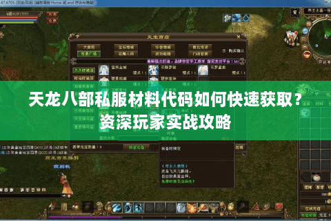 天龙八部私服材料代码如何快速获取？资深玩家实战攻略