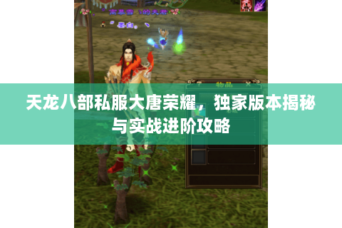 天龙八部私服大唐荣耀，独家版本揭秘与实战进阶攻略