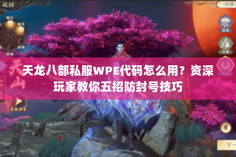 天龙八部私服WPE代码怎么用？资深玩家教你五招防封号技巧