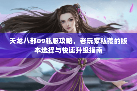 天龙八部09私服攻略，老玩家私藏的版本选择与快速升级指南