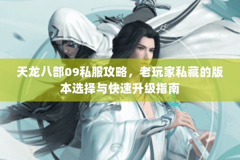 天龙八部09私服攻略，老玩家私藏的版本选择与快速升级指南